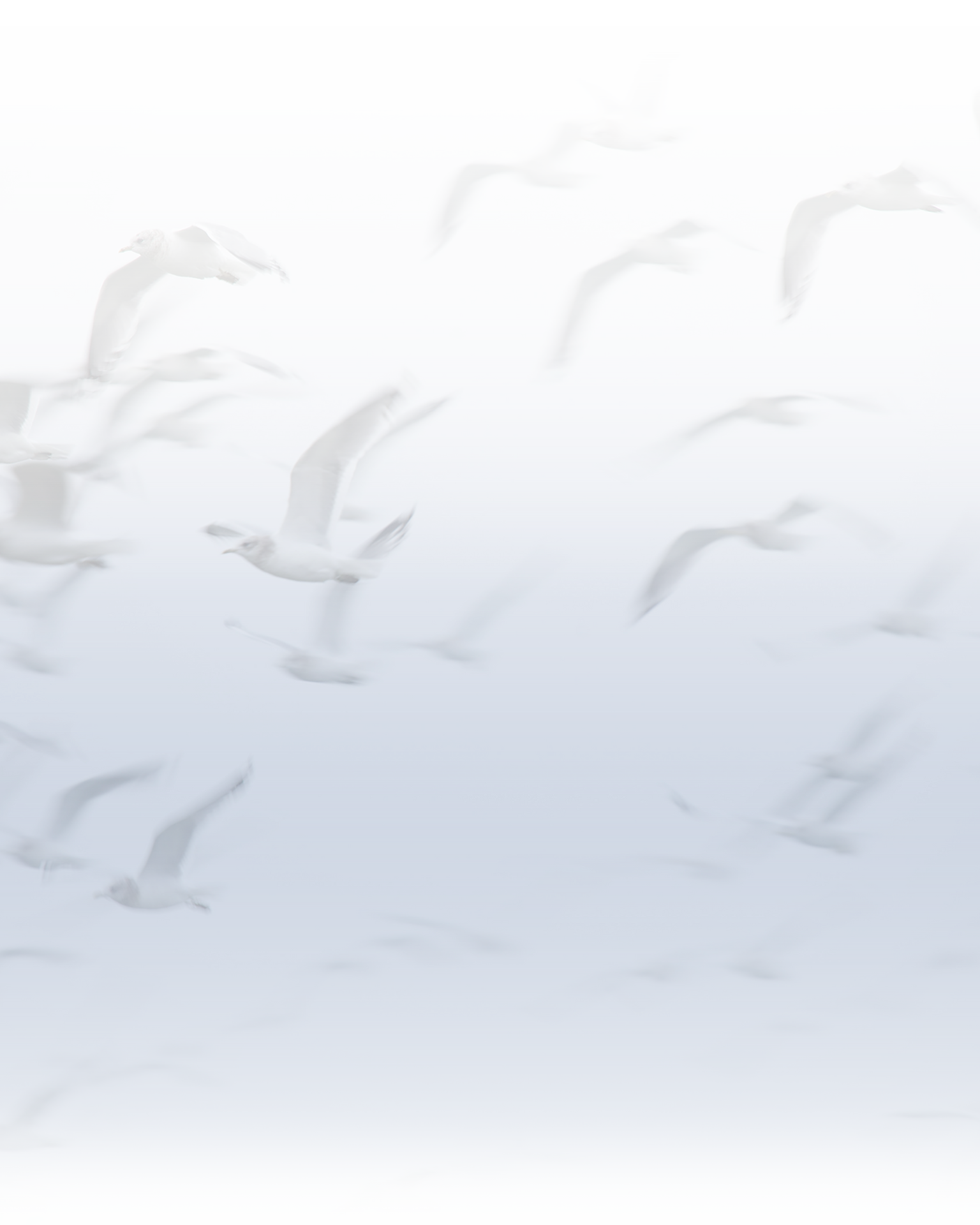 Our Story background image for home
